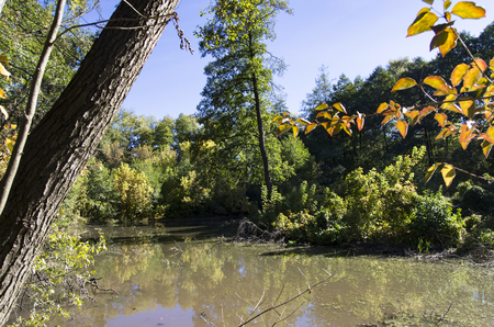 Lake in the autumn forestの写真素材