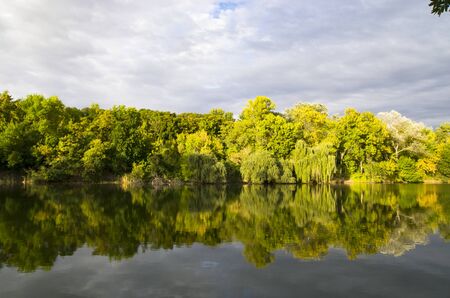 Autumn landscape with trees by the pondの写真素材