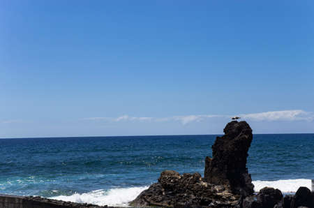 Seagulls are sitting on a rock near the sea coastの写真素材