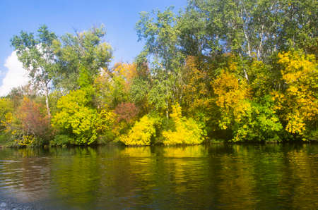 Trees by the river in autumn, landscape