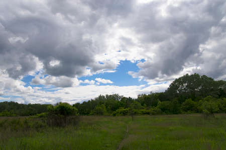 Landscape of a forest glade under the sky with cloudsの写真素材
