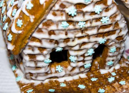 House of cookies in sugar glaze largeの写真素材