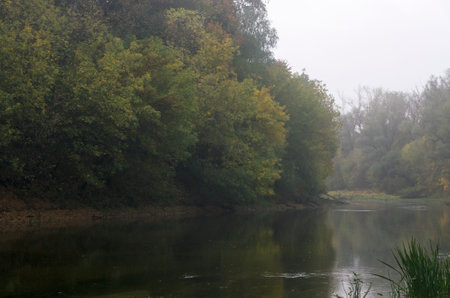 Autumn river landscape in fog, morningの写真素材