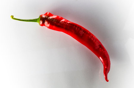 One bitter red pepper on a white backgroundの写真素材