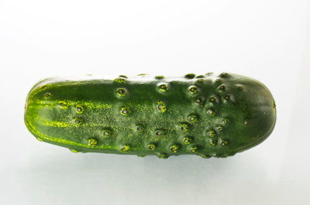 One green cucumber on a white backgroundの写真素材