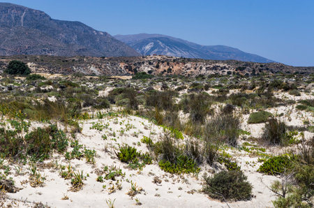 Landscape of a sandy plain on a Greek islandの写真素材