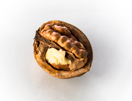 One half of a walnut on a white backgroundの写真素材