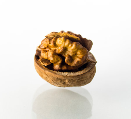 One half of a walnut on a white backgroundの写真素材