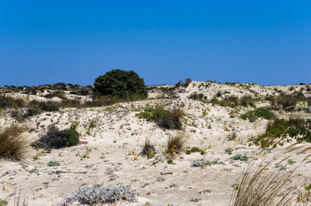 Landscape of a sandy plain on a Greek islandの写真素材