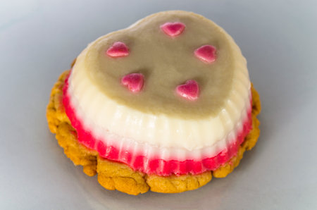 One mousse cookie, on a gray backgroundの写真素材