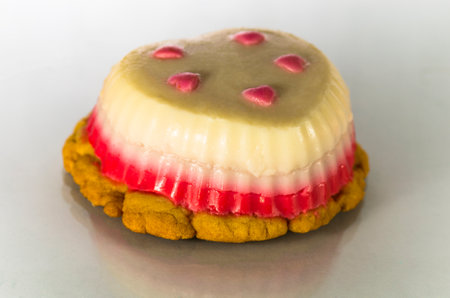 One mousse cookie, on a gray backgroundの写真素材