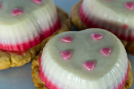 Group of mousse cookies on a gray backgroundの写真素材