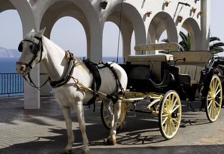 horse with carriageの写真素材