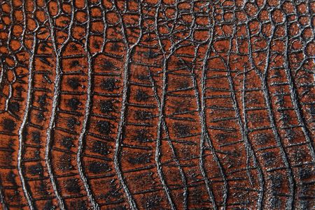 crocodile leather