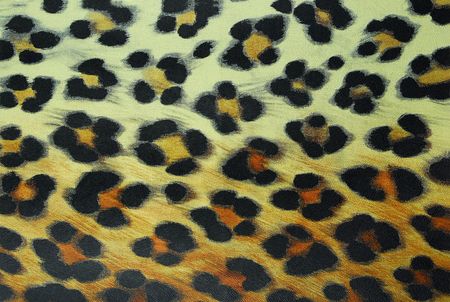 leopard pattern backgroundの写真素材