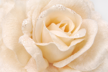 rose fabric beige textureの写真素材
