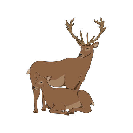 Deer in love rest with each other. Vector image of a pair of deer. Deer in love on Valentines Day.のイラスト素材