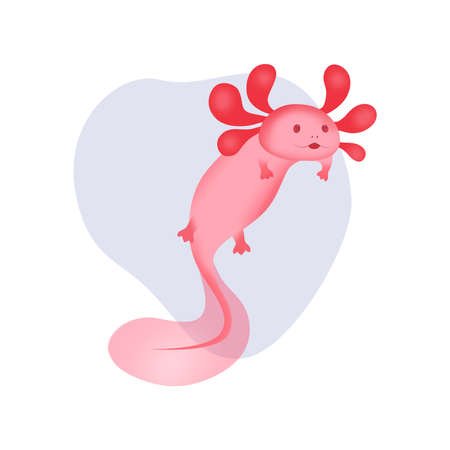 A cute pink axolotl floats in a drop of water and waves its fin. Vector image of a rare amphibian creature.のイラスト素材