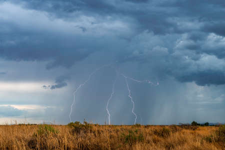 Lightning in Arizona USA during monsoon season