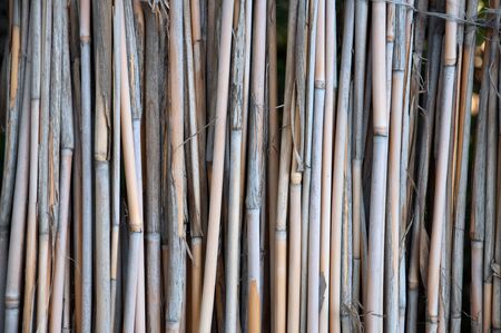 bamboo fence の写真素材