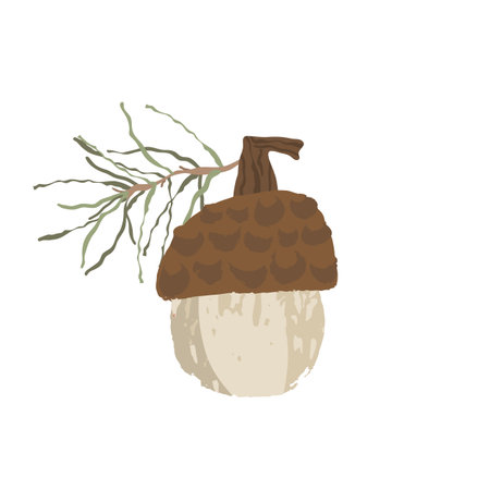 A small acorn with a branch on top of it. The acorn is brown and white.のイラスト素材