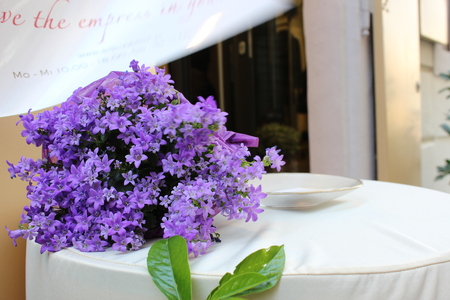 some flowers different color.good background picture backgroundの写真素材