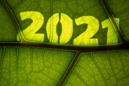 Happy New Year and Happy Holiday Greeting Card with Green Leaf