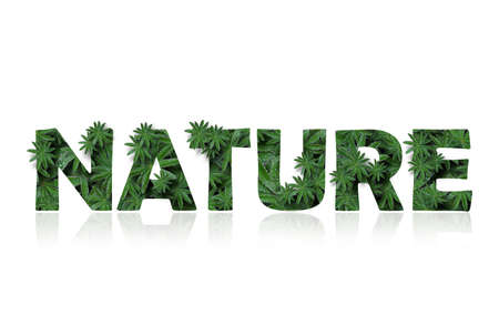 The English word is nature, stylized as a collage of photos of lupin leaves. A word with a mirror image highlighted on a white background. Concept: graphic design, botany and plant growing, environment. High quality photoの写真素材