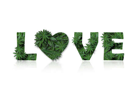 The English word is love, stylized as a collage of photos of lupin leaves. A word with a mirror image highlighted on a white background. Concept: Valentines day, graphic design..の写真素材