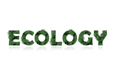 The English word is ecology, stylized as a collage of photos of lupin leaves. A word with a mirror image highlighted on a white background. Concept: cleanliness and conservation of nature.の写真素材