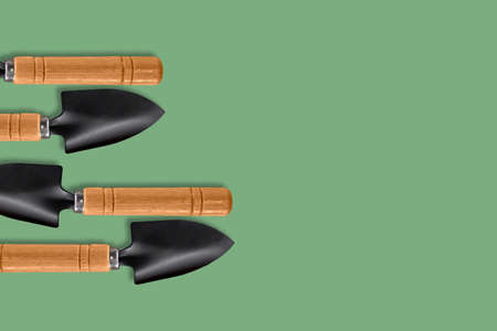 A composition of small garden blades located on the left side on a green background. The place to copy. Concept: poster for the design of advertising media for the garden and vegetable garden.の写真素材