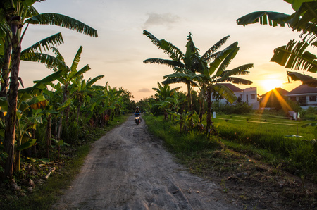 Scooter driving in Bali during sunset.の写真素材