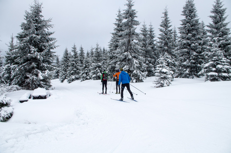 Three men doing cross-country skiing, Jizerka, Czech Republic.の写真素材