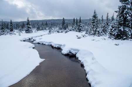 Panorama in the Jizera Mountains.の写真素材