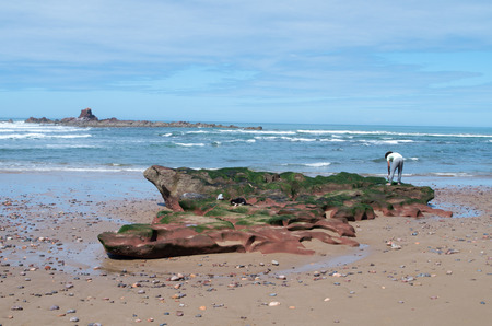 Moroccan man preparing to fish at Legzira, Morocco.の写真素材
