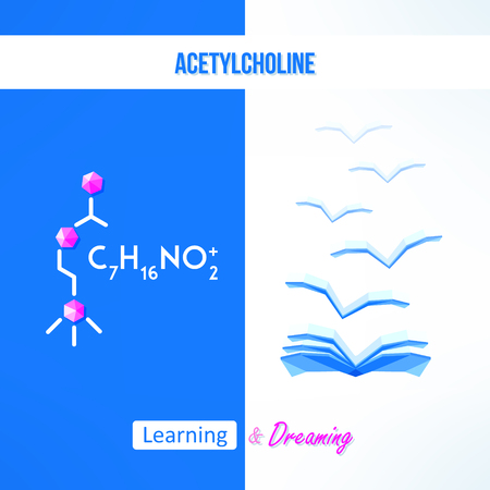 Learning chemistry concept. Chemistry poster with acetylcholine formila. Learning and dreaming inspirational design.のイラスト素材
