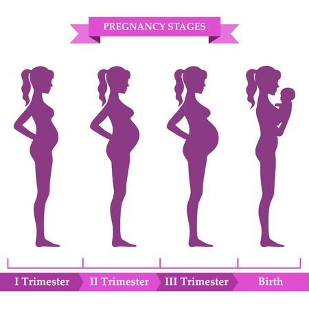 Vector illustration of pregnant female silhouettes. Changes in a woman body in pregnancy. Pregnancy stages, trimesters and birth, pregnant woman and baby. Infographic elementsのイラスト素材