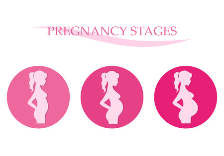 Vector illustration of pregnant female silhouettes. Changes in a woman body in pregnancy. Pregnancy stages, trimesters and birth.のイラスト素材