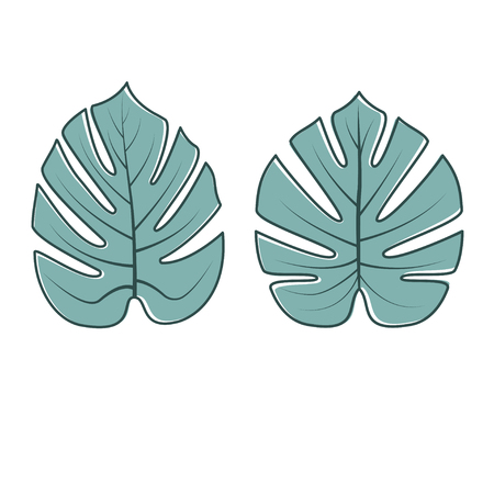 Vector Jungle leaves isolated on white background.のイラスト素材