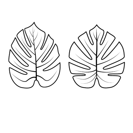 Tropical Palm leaves isolated on white background. Outline vector illustration. Jungle leaves. Used illustration for coloring book, posters, invitations.のイラスト素材