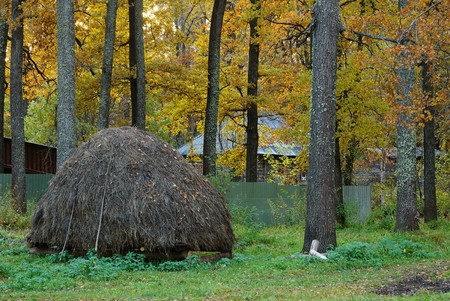 a haystack in an oak grove in the autumn village