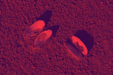 red violet seashells uncovered on the sand sunsetの写真素材