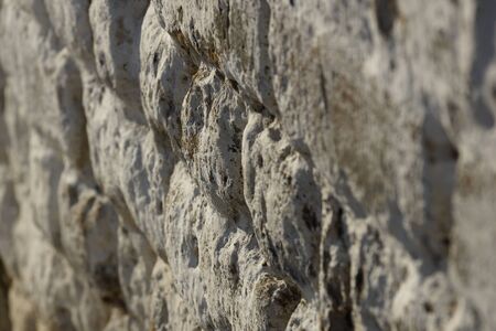 brick white grunge wallの写真素材