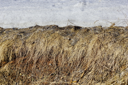 old grass straw and melting snow texture background. spring natural texture of dry grass. beige and white background colorsの写真素材