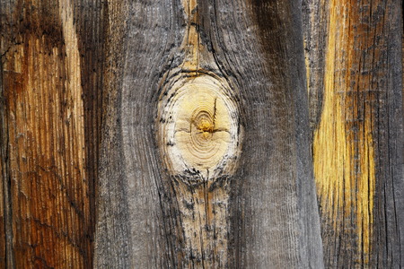 wood texture pine old boards grunge background the knot is large in the centerの写真素材