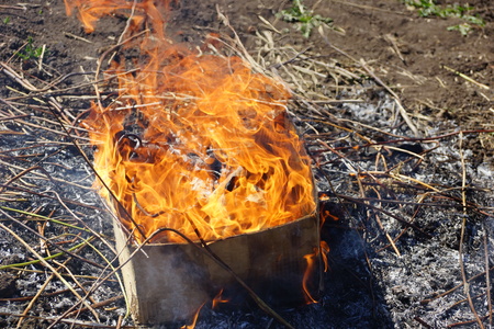 burning cardboard box on the ground burning garbageの写真素材