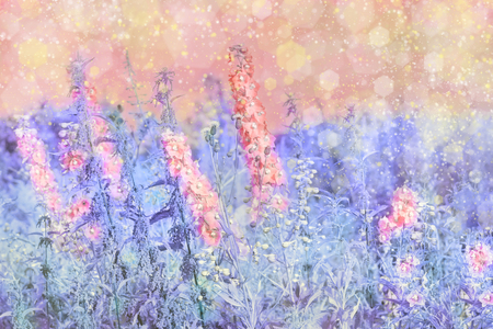 summer flowering herbs comfrey and nettles in the meadow pink purple tones of the bokehの写真素材