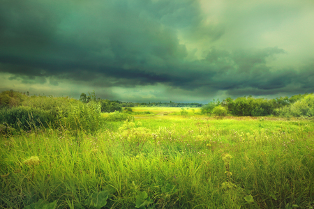 landscape with storm clouds above the flowering meadow far away it is rainingの写真素材
