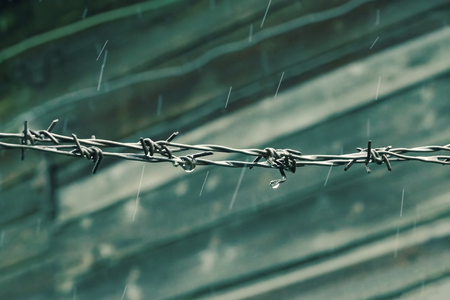 barbed wire raining cold background wooden wallの写真素材
