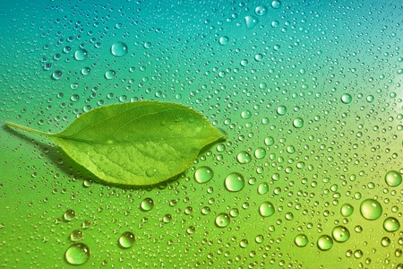 green Apple leaf on a green and blue background close-up. water drop. for design
